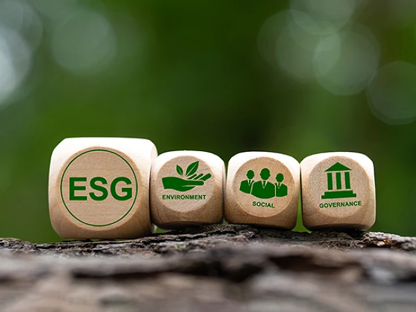 Holzwürfel mit den eingeritzten Zeichen "ESG", "Environment" (Umwelt), "Social" (Soziales) und "Governance" (Unternehmensführung) stehen auf einem Baumstamm, vor unscharfem, grünem Hintergrund.