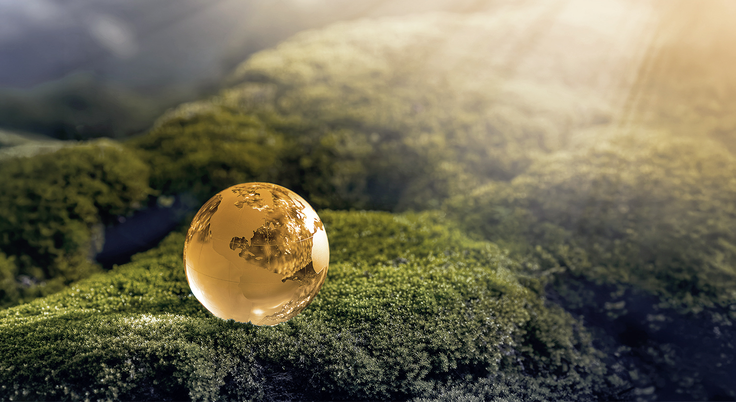 Eine goldene, gläserne Erdkugel steht auf grünem Moos, während das Licht sanft auf die Szene fällt und eine ruhige, naturnahe Atmosphäre schafft.