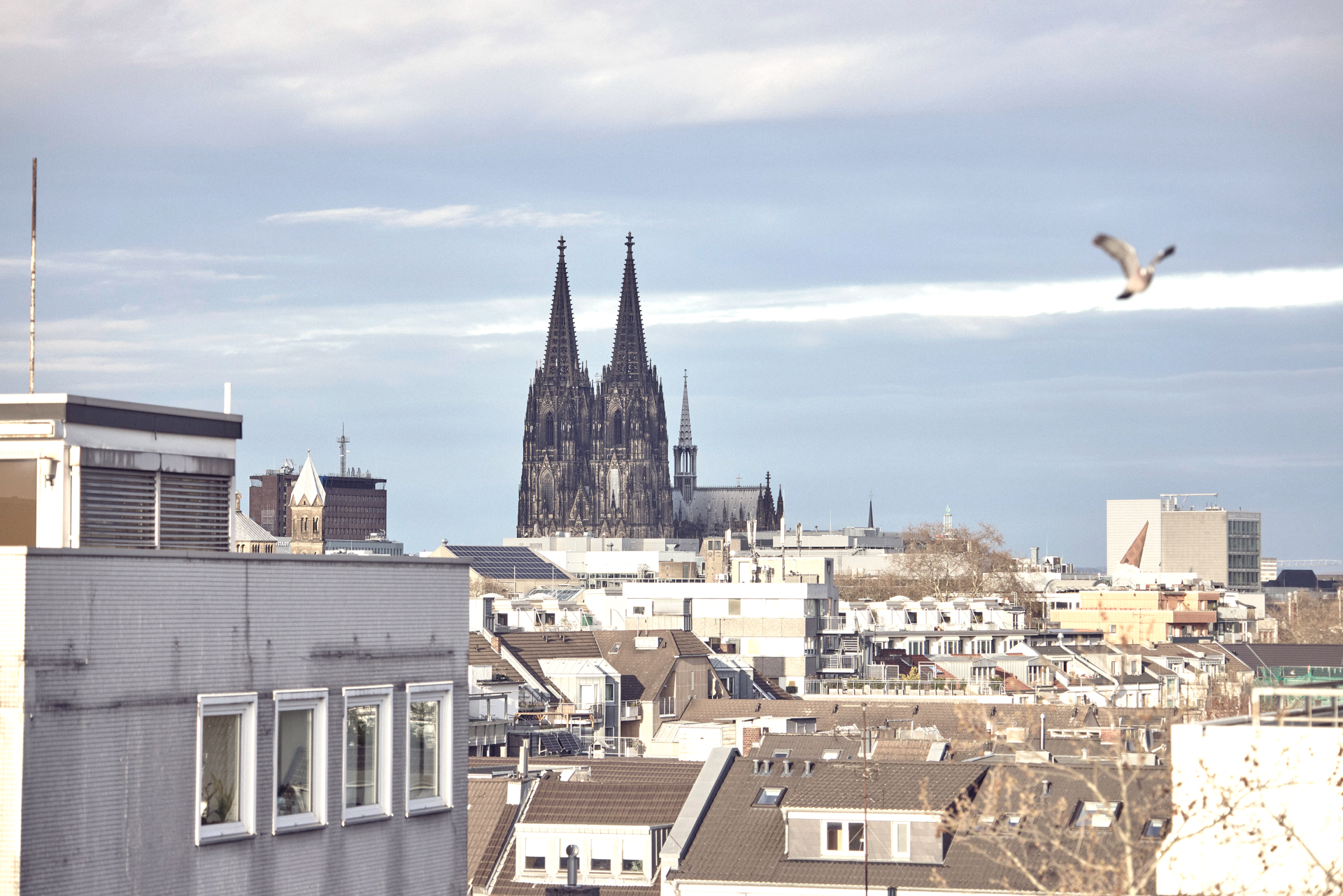 Der Kölner Dom ragt majestätisch über die Stadtlandschaft, umgeben von modernen Gebäuden und einem wolkenbedeckten Himmel, während ein Vogel im Vordergrund vorbeifliegt.